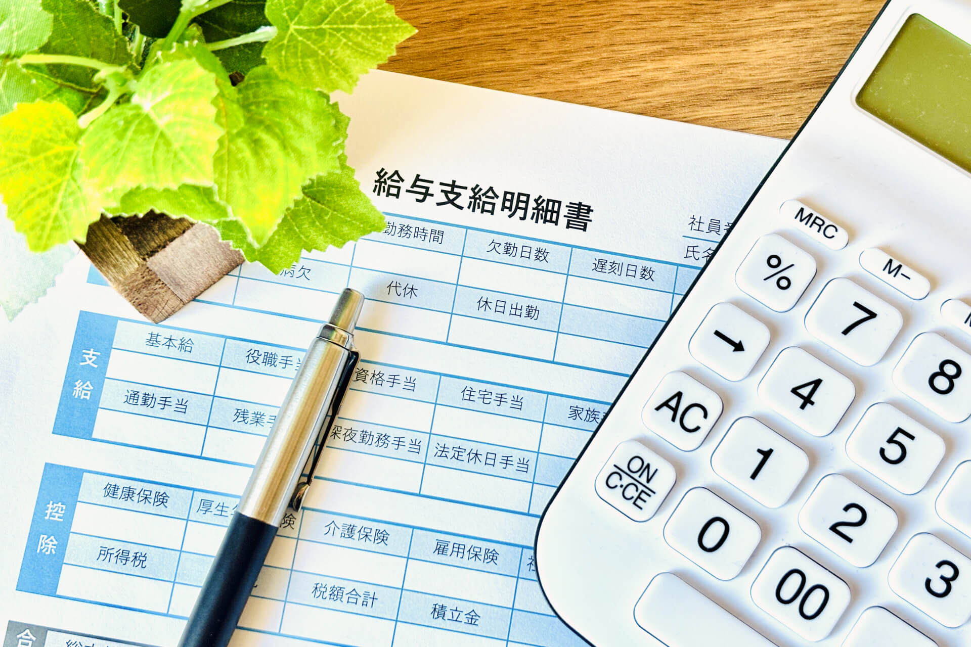 マンダリンマリーナプロジェクト株式会社